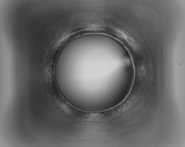 X0000112431304200908141423