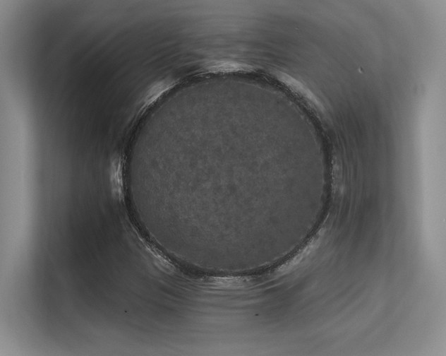 X0000112431305200908141423