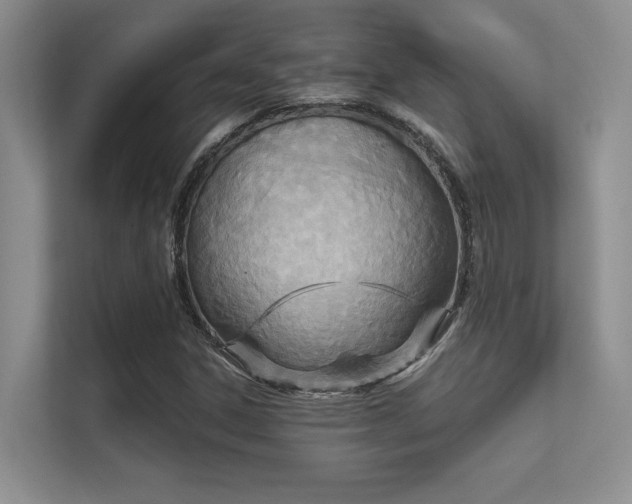 X0000112431306200908141423