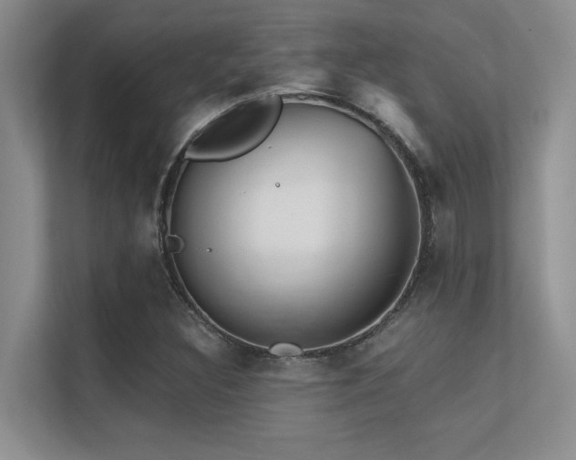 X0000112431308200908141423