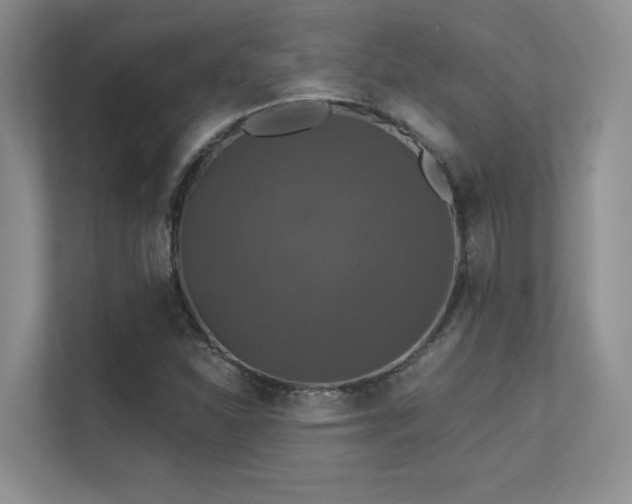 X0000112431310200908141423