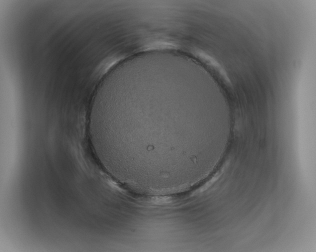 X0000112431313200908141423