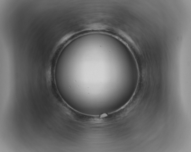 X0000112431315200908141423