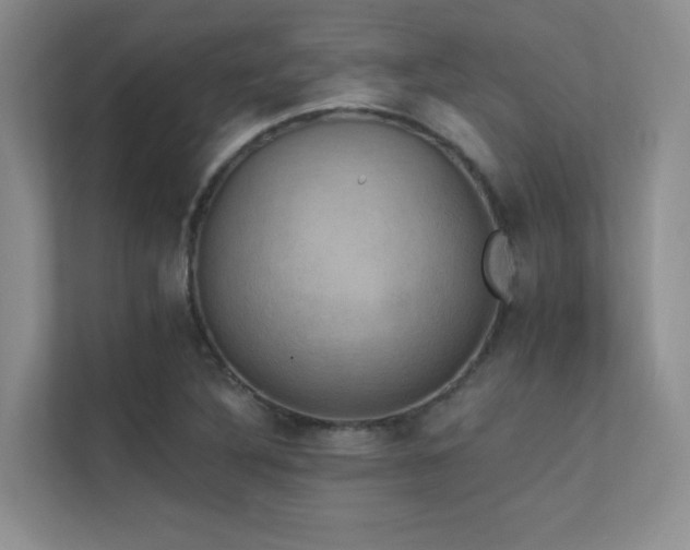 X0000112431316200908141423
