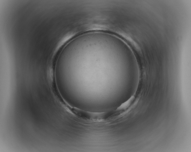 X0000112431317200908141423
