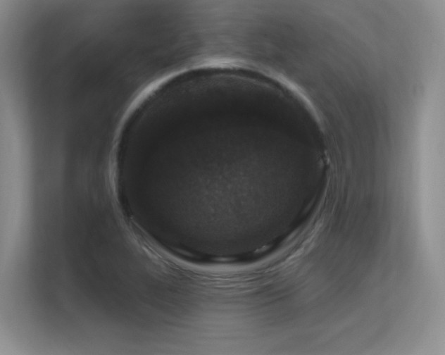 X0000112431319200908141423