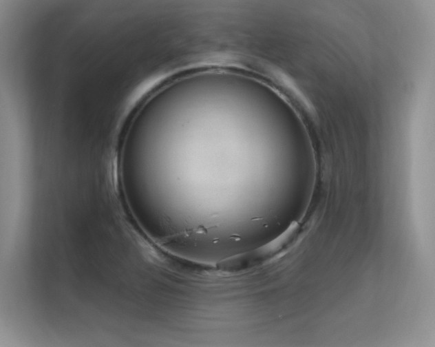 X0000112431320200908141423