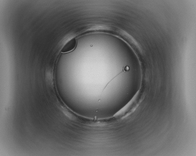 X0000112431321200908141423