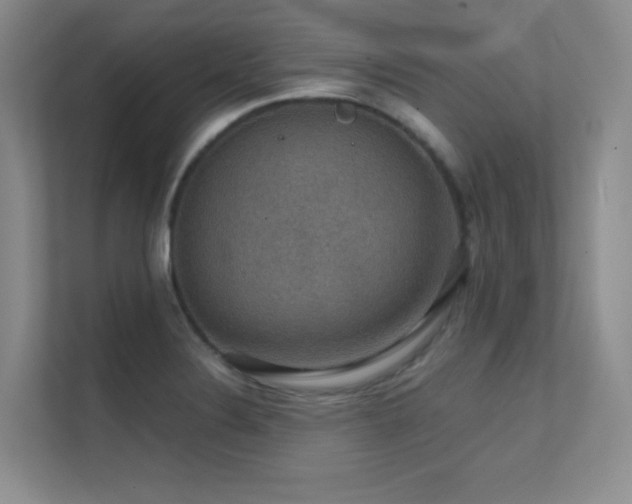 X0000112431324200908141423
