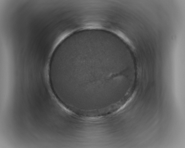 X0000112431325200908141423