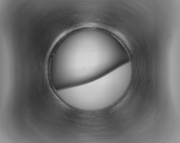 X0000112431326200908141423
