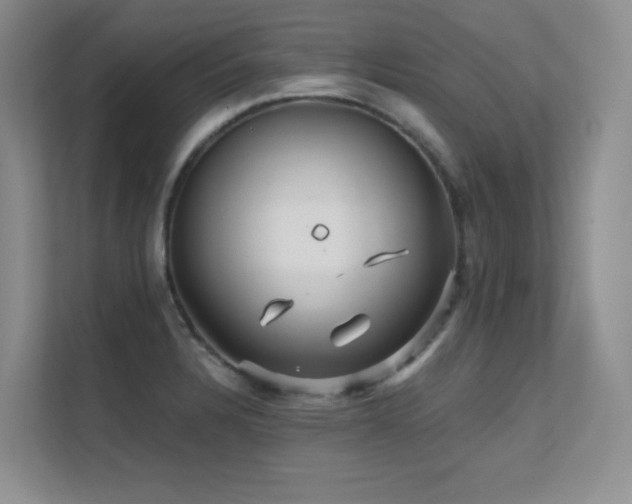 X0000112431328200908141423