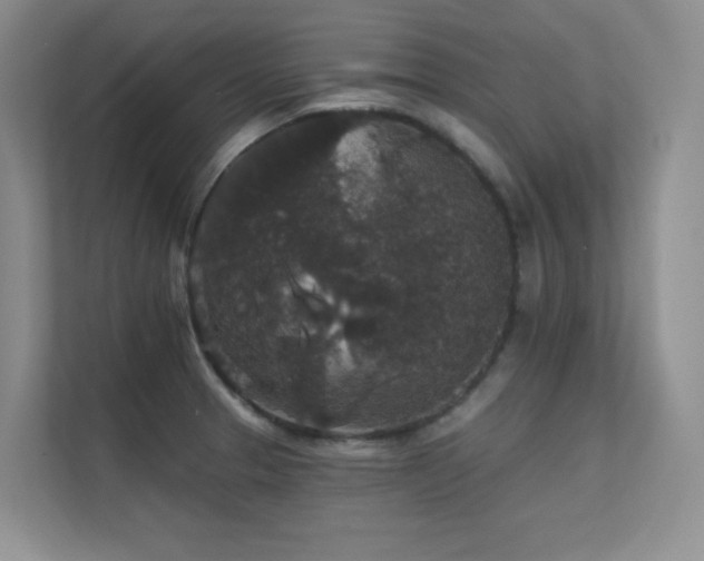 X0000112431329200908141423