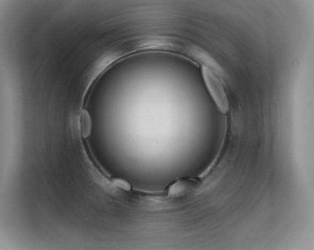 X0000112431330200908141423