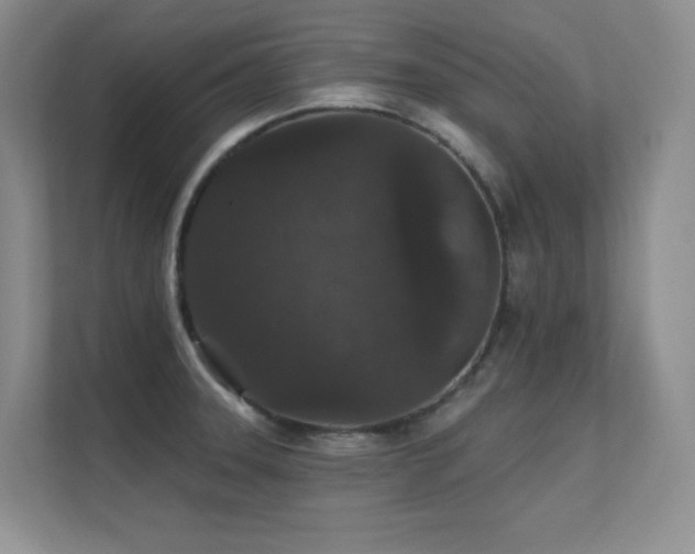 X0000112431331200908141423