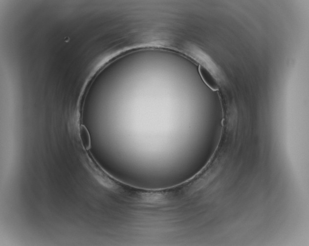 X0000112431332200908141423