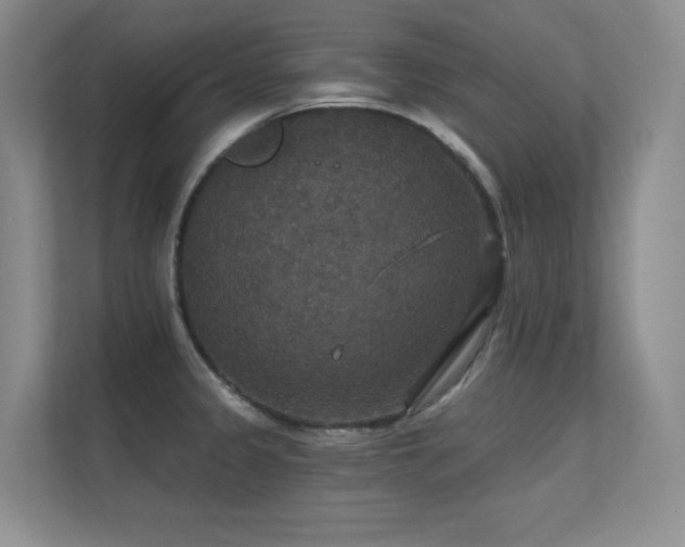 X0000112431333200908141423