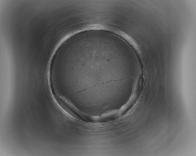 X0000112431334200908141423