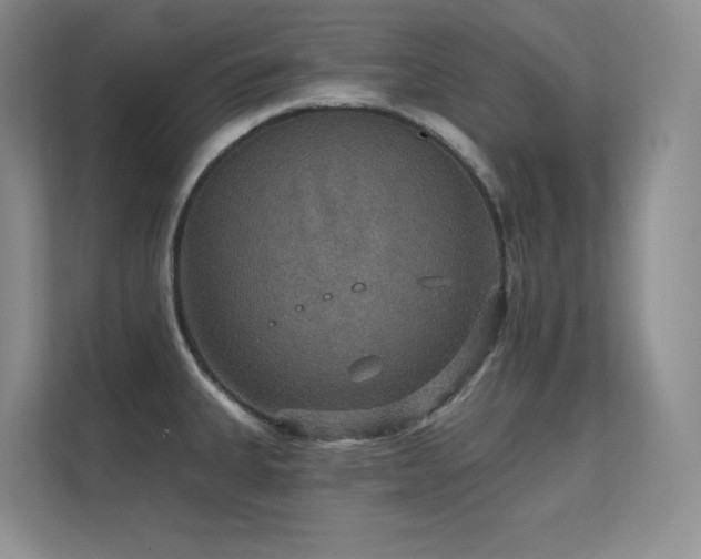 X0000112431335200908141423