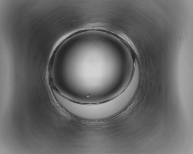 X0000112431336200908141423