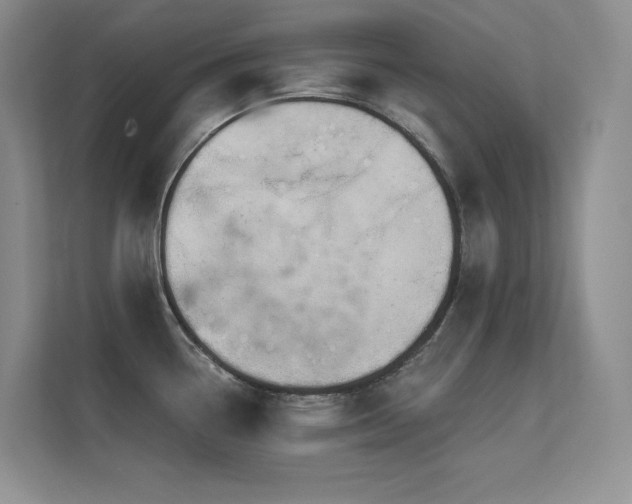X0000112431338200908141423