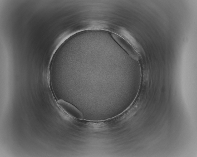 X0000112431340200908141423