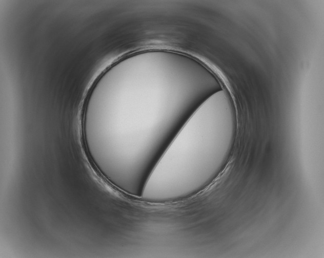 X0000112431341200908141423