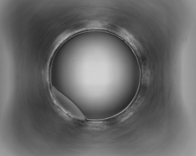 X0000112431342200908141423