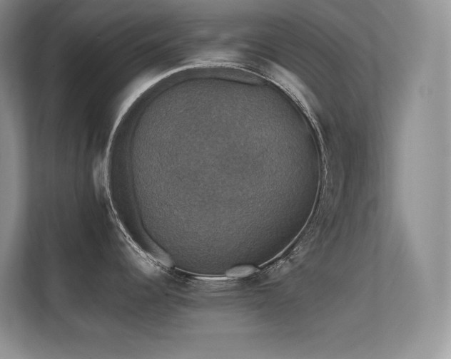 X0000112431344200908141423