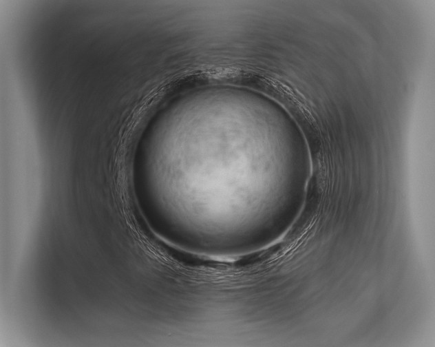 X0000112431345200908141423
