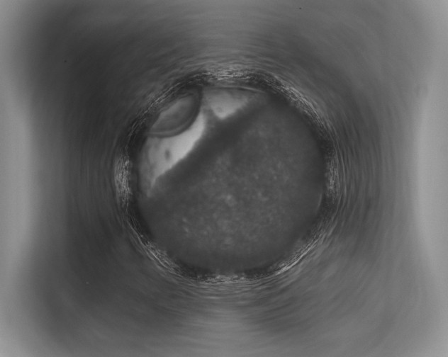 X0000112431346200908141423