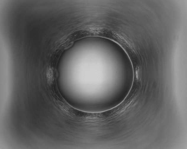 X0000112431347200908141423