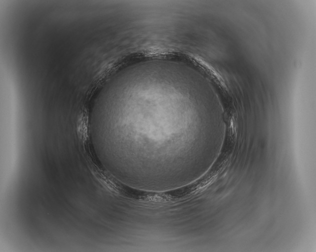X0000112431348200908141423
