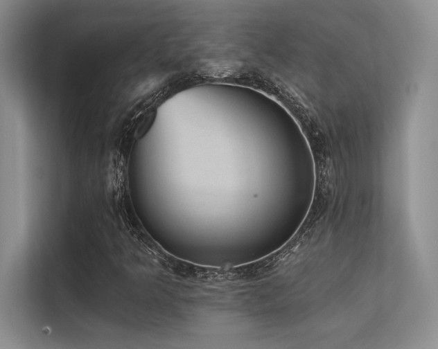 X0000112431349200908141423