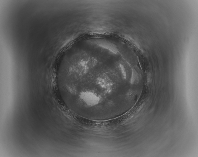 X0000112431350200908141423