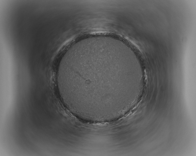X0000112431351200908141423