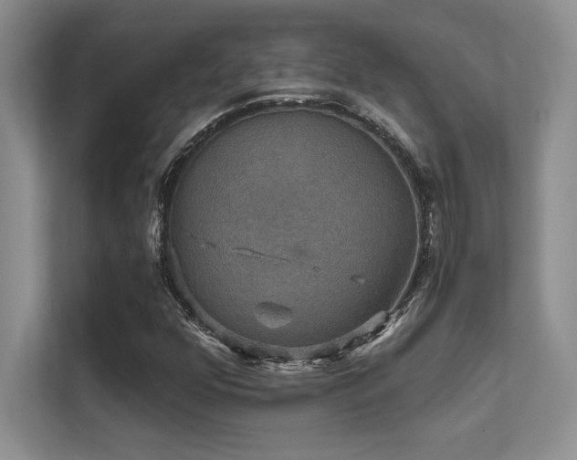 X0000112431352200908141423