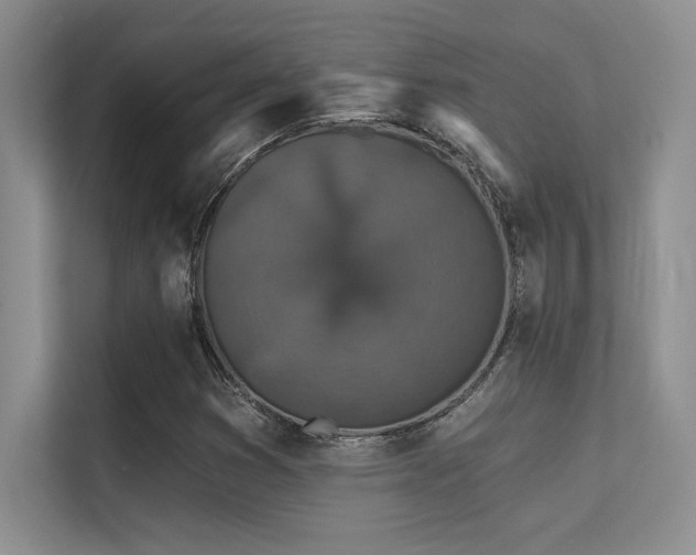 X0000112431353200908141423