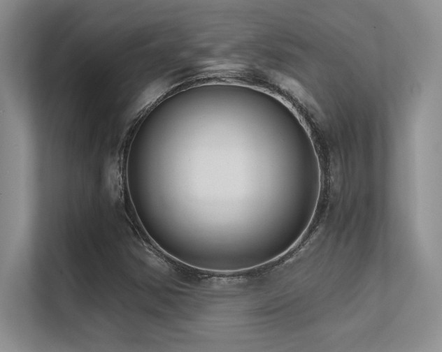 X0000112431354200908141423