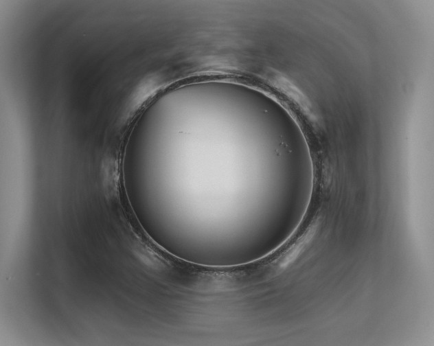X0000112431355200908141422