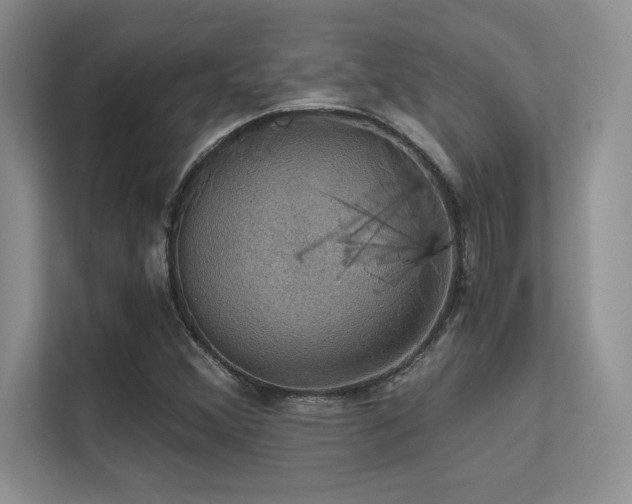 X0000112431356200908141422