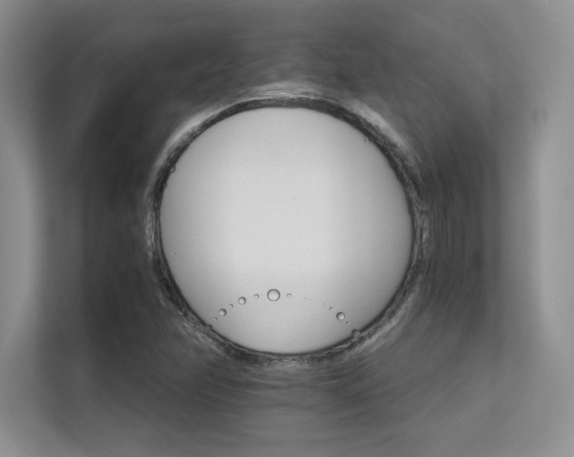 X0000112431358200908141422