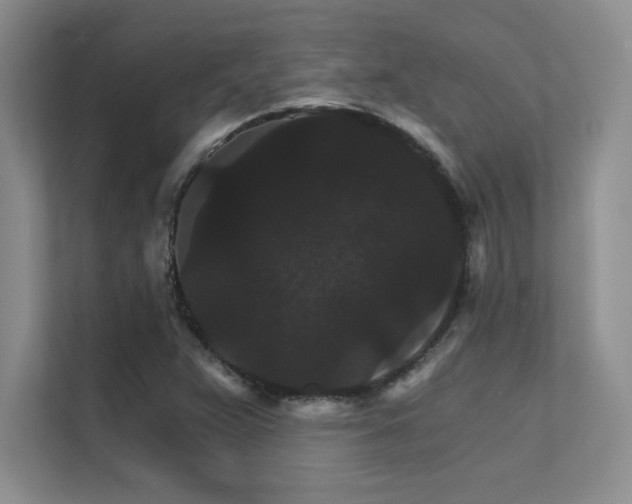 X0000112431359200908141422