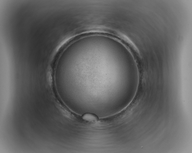 X0000112431360200908141422