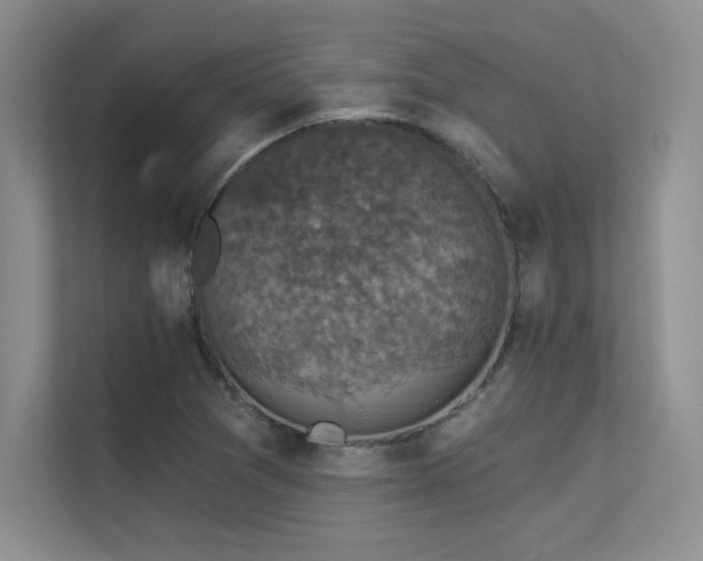 X0000112431361200908141422