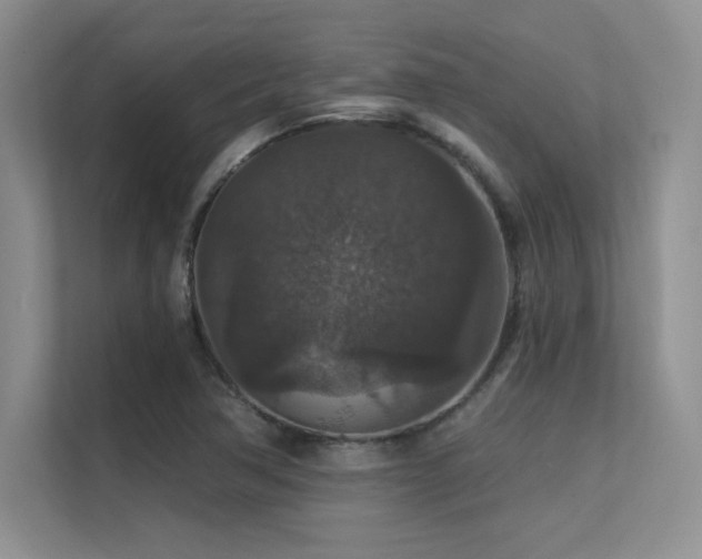 X0000112431362200908141422