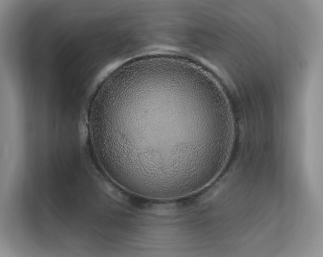 X0000112431363200908141422