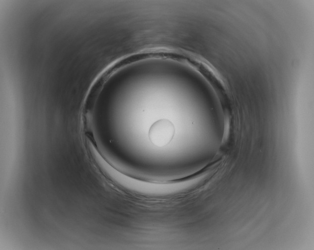 X0000112431364200908141422