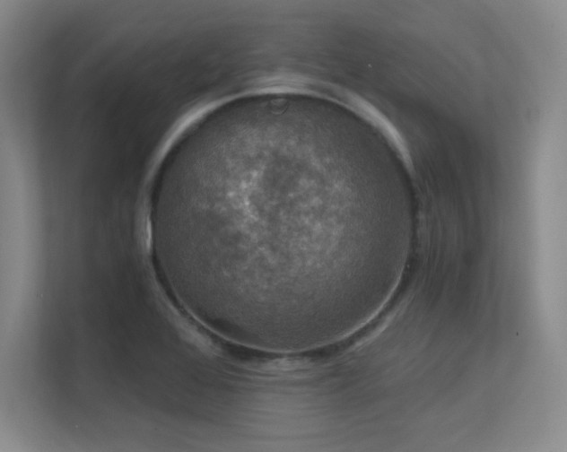 X0000112431368200908141422