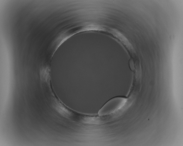 X0000112431369200908141422